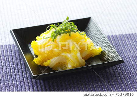 Squid golden 19 Squid golden 19 75379016