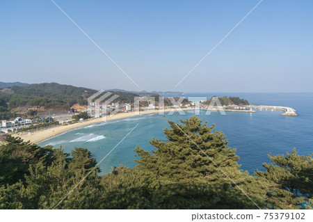 柔道海灘 柔道海灘 75379102