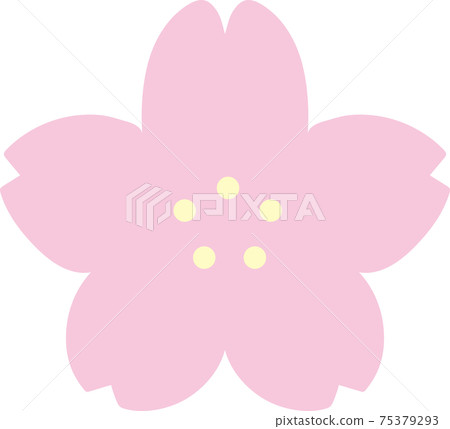 Cherry Blossom Cherry Blossom 75379293