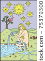 Tarot card / star 75379300