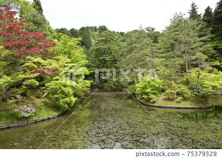 Shogakuin Rikyu Ukimiya Mihogashima 75379329