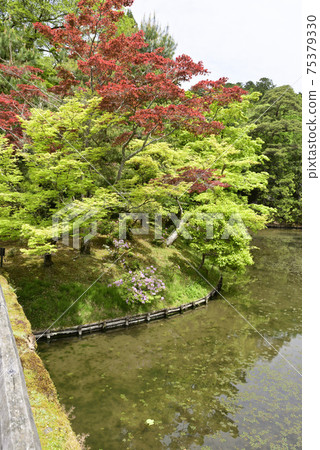 Shogakuin Rikyu Ukimiya Mihogashima 75379330