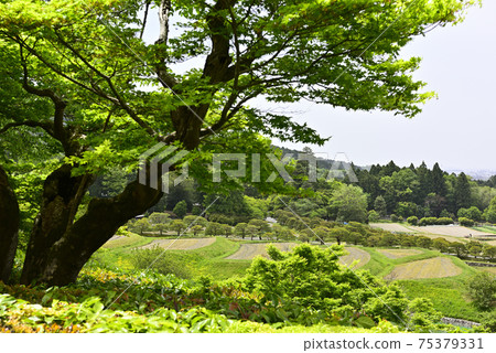 Shugakuin Rijyo國家視圖 Shugakuin Rijyo國家視圖 75379331