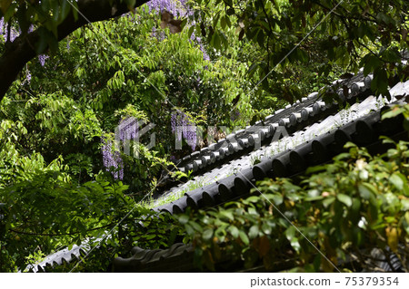 Sekizan Zenin Yamato (Noto) Sekizan Zenin Yamato (Noto) 75379354