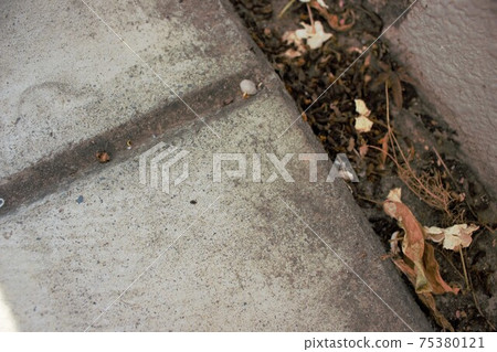 Muddy dirt in the ditch Muddy dirt in the ditch 75380121