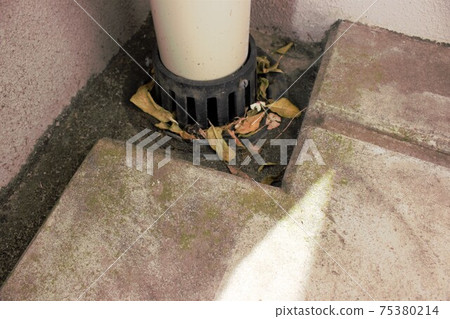 Garbage that collects in the drain 75380214