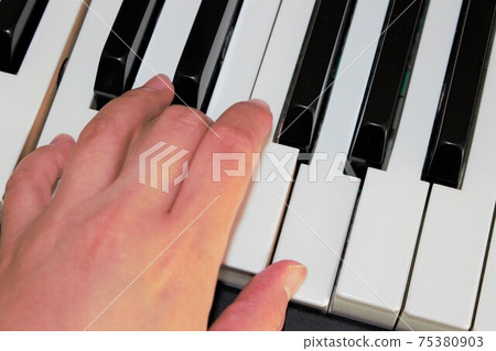 Hands on the keyboard 75380903