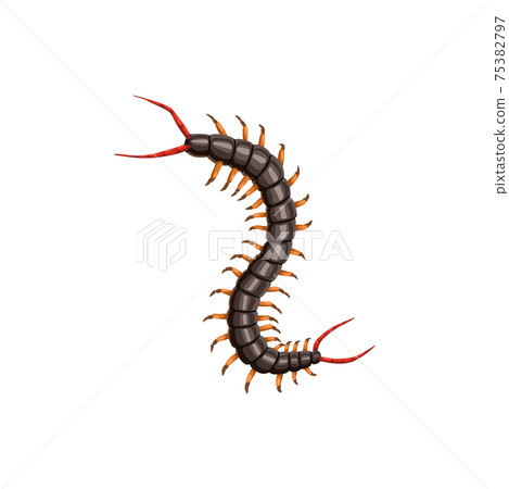 Centipede icon, pest control insects disinsection Centipede icon, pest control insects disinsection 75382797