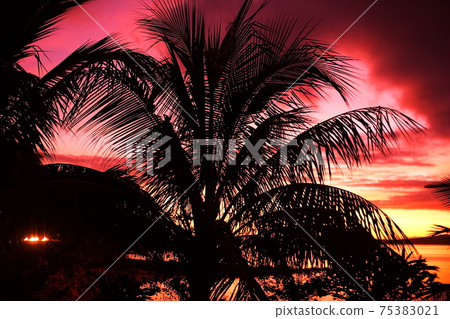 從南太平洋薩摩亞獨立島烏波盧(Upolu)西端的海岸欣賞夜景 從南太平洋薩摩亞獨立島烏波盧(Upolu)西端的海岸欣賞夜景 75383021