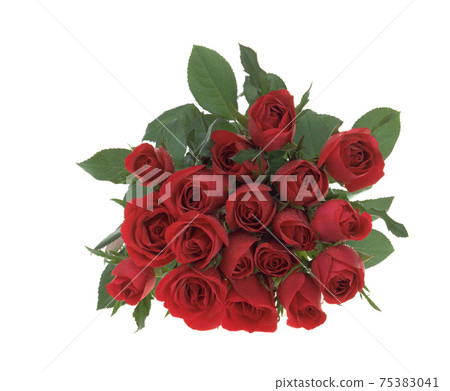 玫瑰花,玫瑰,花瓣,花卉,花藝,花束,靜物 75383041