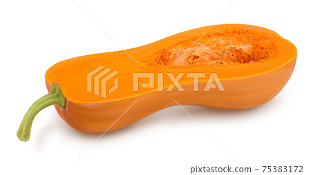 butternut squash half isolated on white background with clipping path and full depth of field butternut squash half isolated on white background with clipping path and full depth of field 75383172