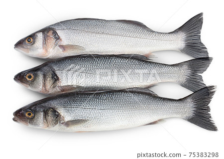 Sea bass fich isolated on white background with clipping path. Top view. Flat lay 75383298