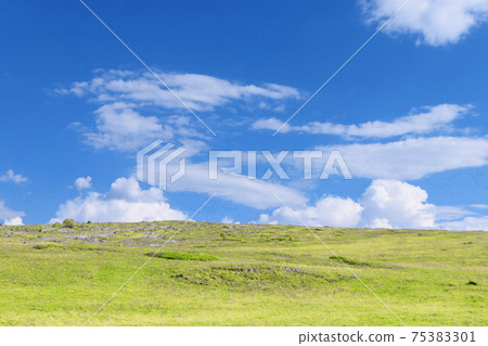 Sky and grass 75383301