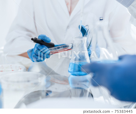 close up. image of scientists microbiologists conduct research 75383445