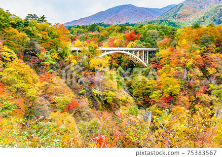 宮城縣秋葉鳴子峽和Obukasawa橋（休養所天文台眺望） 75383567