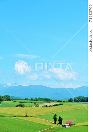 北海道夏天藍天碧姬山 75383766