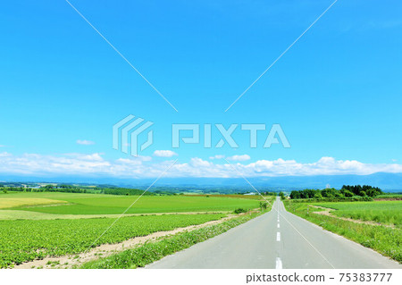 北海道 清爽的夏日藍天和美瑛路 照片素材 圖片 圖庫