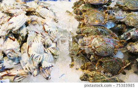 Pile of fresh crabs Pile of fresh crabs 75383985