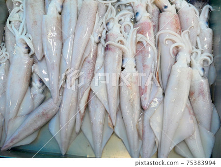Fresh raw squids 75383994
