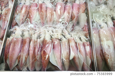 Fresh raw squids 75383999