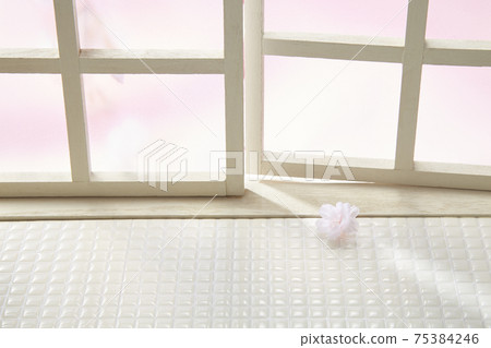 indoor cherry blossom viewing at home indoor cherry blossom viewing at home 75384246