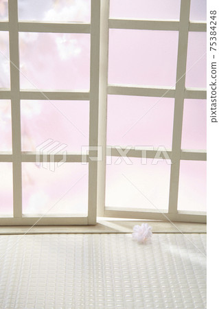 在家觀賞室內櫻花 在家觀賞室內櫻花 75384248