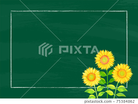 Background material_blackboard and sunflower sunflower 75384862