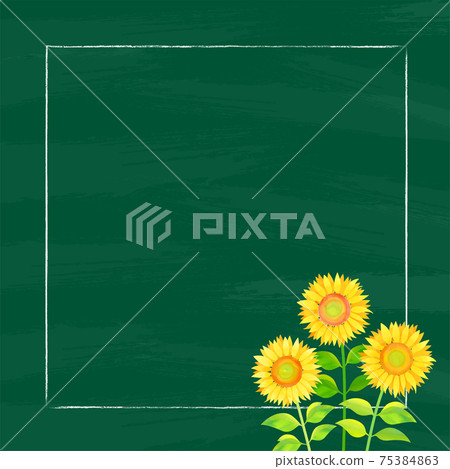 Background material_blackboard and sunflower sunflower 75384863