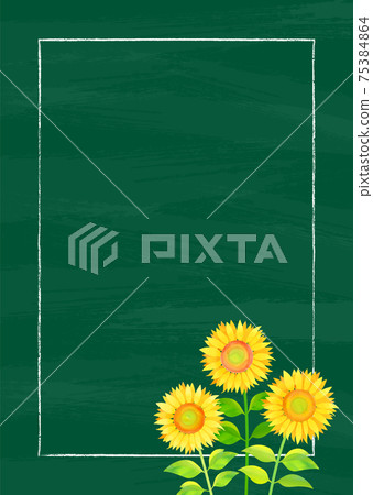 Background material_blackboard and sunflower sunflower Background material_blackboard and sunflower sunflower 75384864