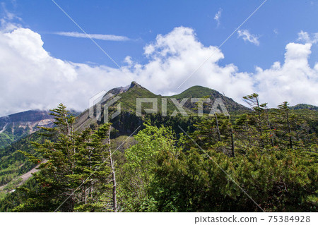 八岳中山Pass的景色 75384928