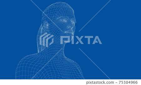 Wireframe portrait of a young beautiful girl Wireframe portrait of a young beautiful girl 75384966