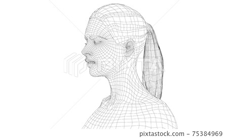 Wireframe portrait of a young beautiful girl 75384969