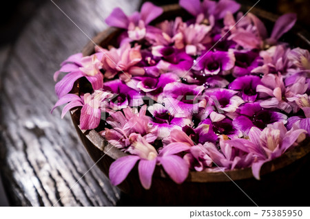 Purple orchids were placed in a clay basin filled with water. Purple orchids were placed in a clay basin filled with water. 75385950