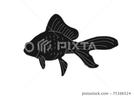 一條金魚用望遠鏡的插圖 75386524