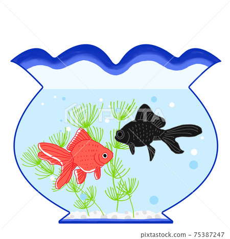 Illustration of a summer image of a goldfish swimming in a fishbowl 75387247