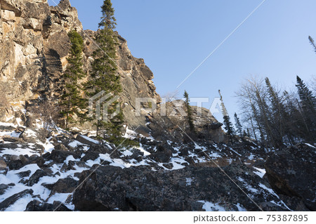 A huge brown rock with rare spruce trees. 75387895