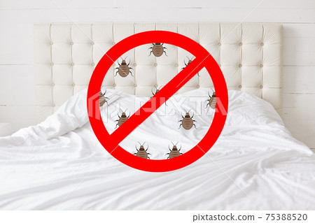 Stop sign with insects against bed background. There should be any bugs in bedroom. Hotel room being testified on cleanliness and purity 75388520
