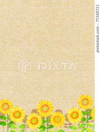 Background material_Sunflower Sunflower Background material_Sunflower Sunflower 75388721