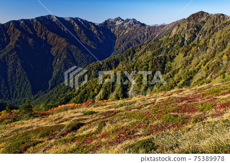 Autumn leaves and Harinokidake / Rengedake near Taneike Sanso in the Northern Alps 75389978