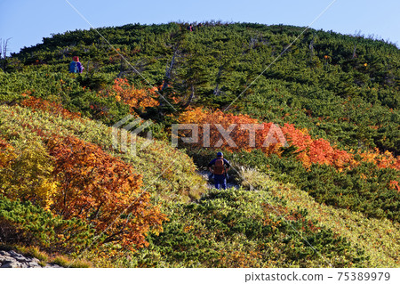 Climbers going along the Jiigatake ridgeline in the Northern Alps of autumn colors 75389979