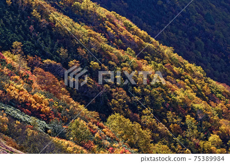Mountain surface of autumn leaves of Mt. Jiigatake in the Northern Alps 75389984