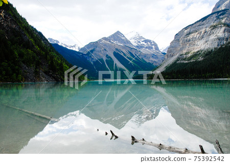 Spring Canadian Rockies Kinney Lake (Mount Robson State Park, Canada) Spring Canadian Rockies Kinney Lake (Mount Robson State Park, Canada) 75392542