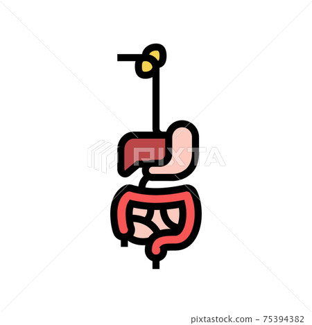 digestive system color icon vector illustration digestive system color icon vector illustration 75394382