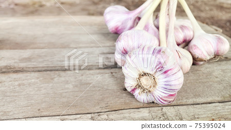 Close up picture of fresh organic garlic on a wooden table, selective focus. Close up picture of fresh organic garlic on a wooden table, selective focus. 75395024