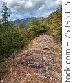 Trail  75395115