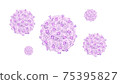 Coronavirus illustration 75395827