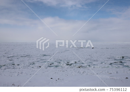 Shari, Hokkaido Drift ice and drift ice walk in the Sea of Okhotsk 75396112