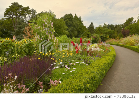 The National Botanic Gardens In Dublin The National Botanic Gardens In Dublin 75396132