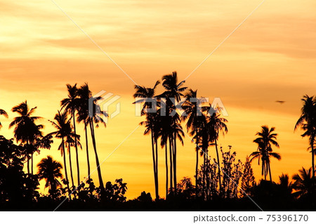 Morning glow on Upolu, an independent island of Samoa in the South Pacific 75396170