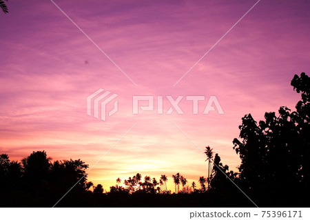 Morning glow on Upolu, an independent island of Samoa in the South Pacific 75396171